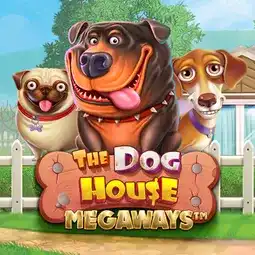 The Dog House Megaways gra w Lucky Bird Casino dla graczy z Polski The Dog House Megaways gra w Lucky Bird Casino dla graczy z Polski